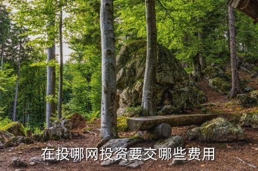 投哪網管理費什么時候收取，投哪網收手續(xù)費嗎