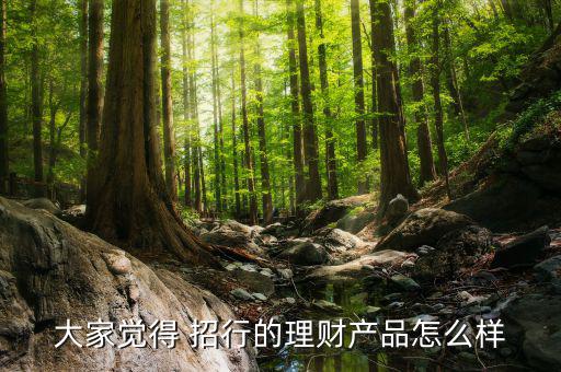 招行焦點聯動怎么樣,招商銀行理財產品名稱
