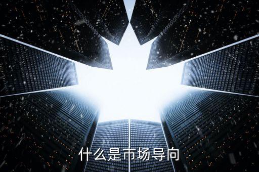什么叫市場(chǎng)導(dǎo)向機(jī)制，什么是市場(chǎng)導(dǎo)向
