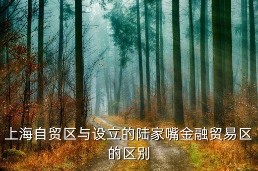 陸家嘴金融貿(mào)易區(qū)有什么，上海自貿(mào)區(qū)與設(shè)立的陸家嘴金融貿(mào)易區(qū)的區(qū)別