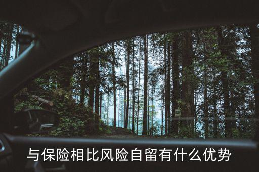 什么是風險自留，股票里有個自留的專業用語是什么意思