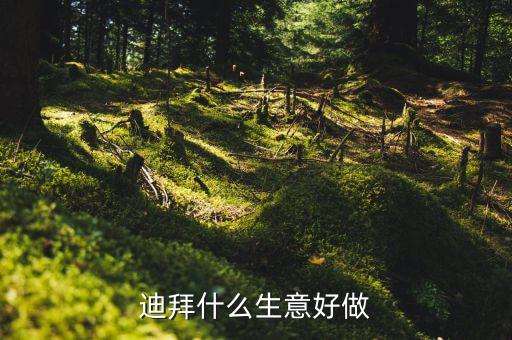 迪拜做什么生意好，國人在迪拜都做什么生意