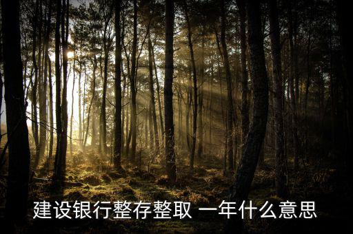 建設銀行整存整取 一年什么意思