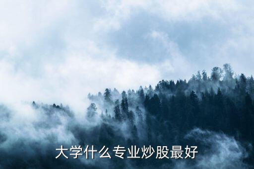 大學什么專業炒股最好
