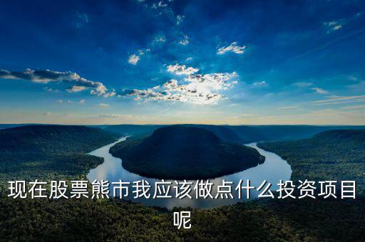 現在股票熊市我應該做點什么投資項目呢