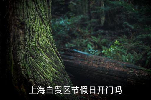 上海自貿區節假日開門嗎