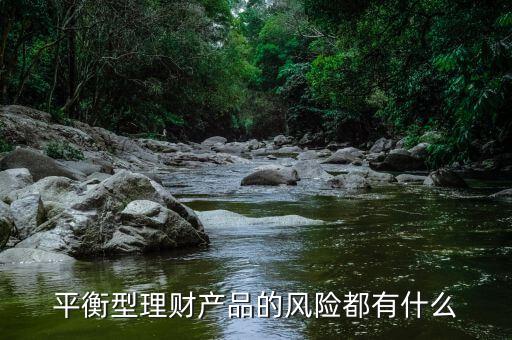 理才客戶風險平衡型是什么意思，平安銀行評估平衡型是什么意思