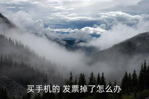 充值發票丟了怎么辦,增值稅發票遺失補辦方法:如何補辦?