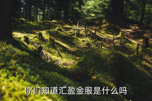 存匯盈是什么，存兌匯票是什么東東具體含義一定要說的詳細點啊