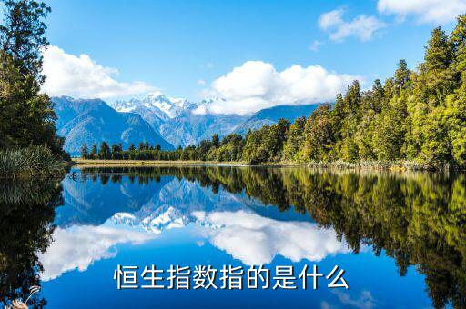 恒生指數指的是什么