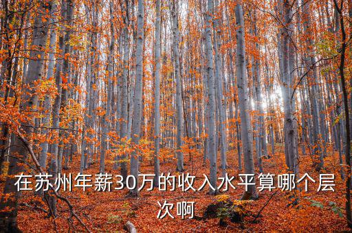 年薪三十萬元處于什么階層，在蘇州年薪30萬的收入水平算哪個(gè)層次啊