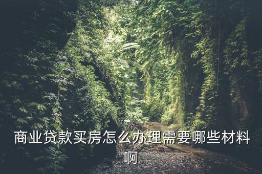 商業借貸怎么貸,營業執照貸款流程如何?