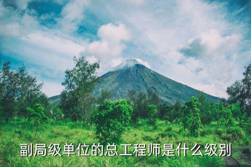 核安全總工程師是什么級別，總工程師是什么級別