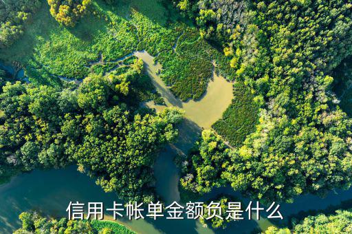 深圳發展銀行信用卡負金額是什么意思，信用卡帳單金額負是什么