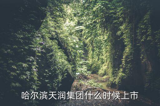 天潤(rùn)乳業(yè)什么時(shí)候上市，哈爾濱天潤(rùn)集團(tuán)什么時(shí)候上市