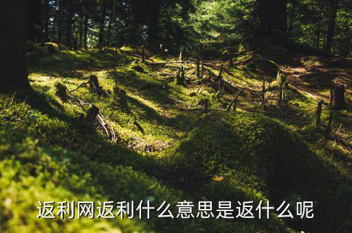 返傭網是什么意思，返傭網大概是什么意思