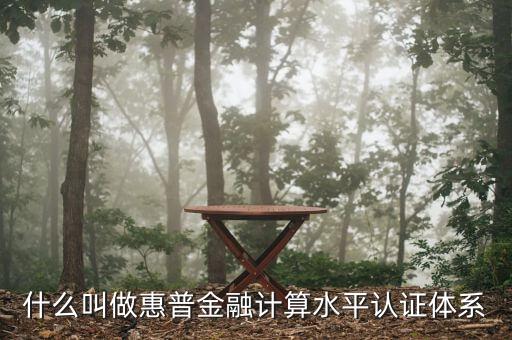 惠普金融是什么，普惠金融是什么意思