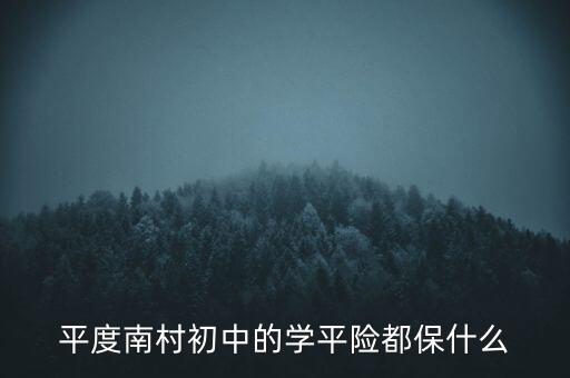 平度南村初中的學平險都保什么