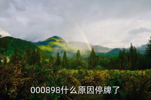 華資實業為什么停牌，000009今天為何停牌