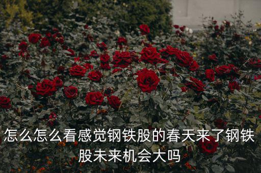 包鋼集團是什么性質，中國包頭大企業都有哪些什么性質