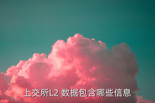 股票l2什么意思，股票標(biāo)示 融 深股通 L1是什么意思