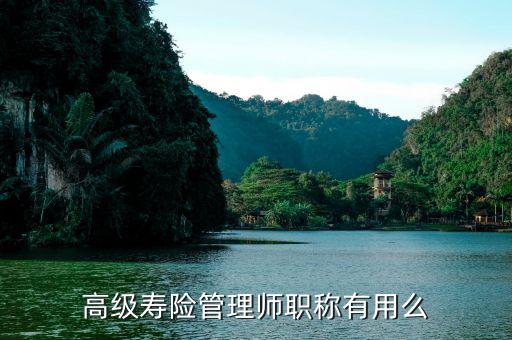 保險高管證有什么用，朋友讓我幫他考保險高管證說考過了我就是他公司的法人這兩個