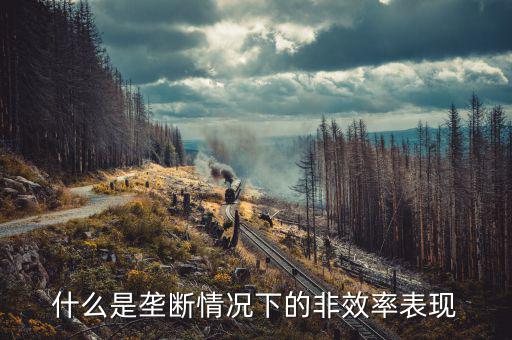 什么是壟斷情況下的非效率表現