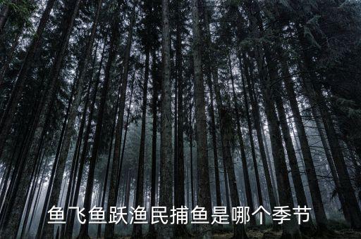漁民捕魚一般是什么時候，魚飛魚躍漁民捕魚是哪個季節