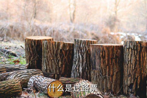 什么是過票行為，使用較消過的發票是什么行為