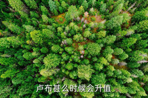 盧布什么時(shí)候升值，盧布甚么時(shí)候會(huì)升值