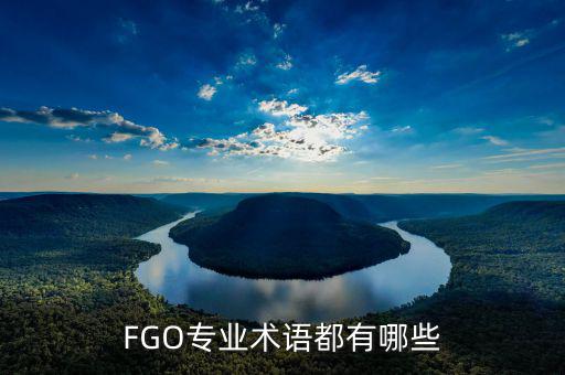 FGO專業術語都有哪些