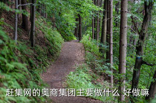 奧骨集團是做什么的，趕集網的奧商集團主要做什么 好做嘛