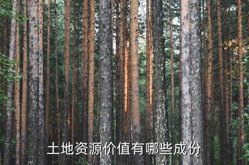 城市土地價值包括什么，土地竟得價值是什么意思