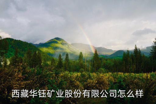 西藏華鈺礦業股份有限公司怎么樣