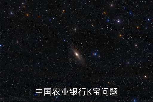 中國農業銀行K寶問題