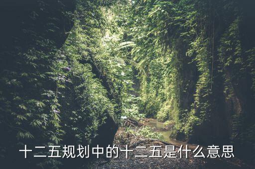 十二五規劃中的十二五是什么意思