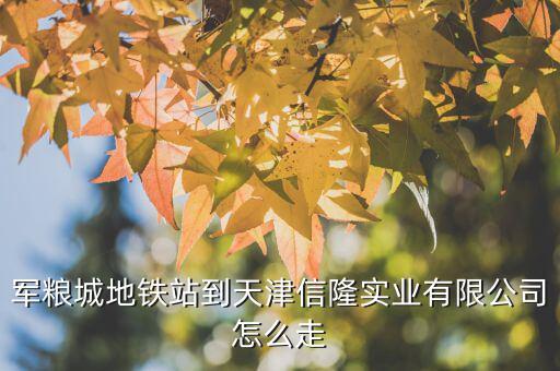 軍糧城地鐵站到天津信隆實業有限公司怎么走