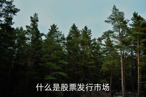 什么是股票發行市場