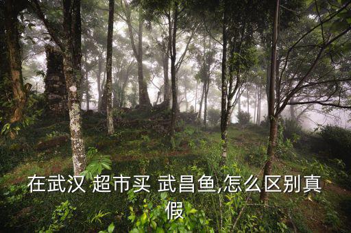 在武漢 超市買 武昌魚,怎么區別真假
