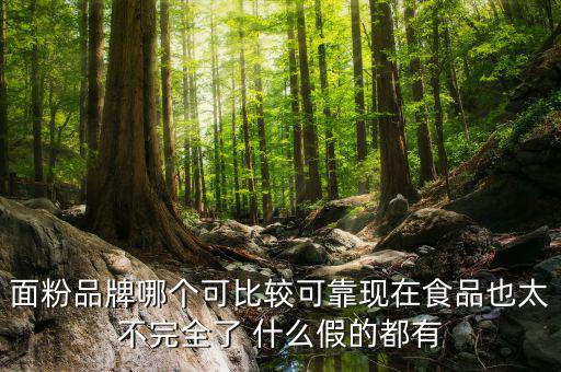 面粉品牌哪個可比較可靠現在食品也太不完全了 什么假的都有