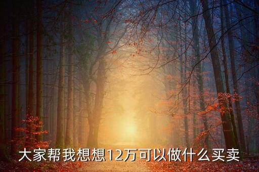 12萬投資什么項(xiàng)目，投資十二萬元能做什么呢