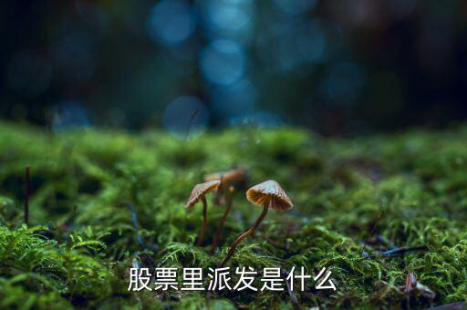 什么是股票派發，股票什么叫派發
