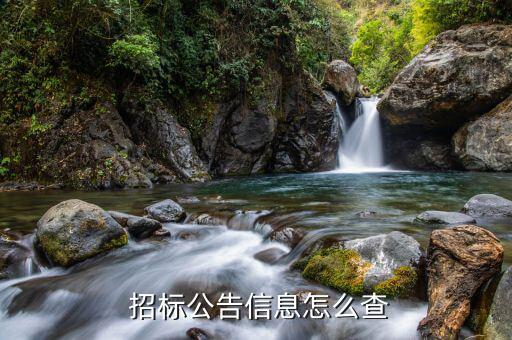 衛生部介入材料招標怎么查,政府采購項目公開招標公告