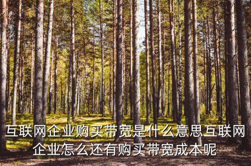 帶寬采購是什么意思，請問帶寬出口批發是什么出口的定義是 麻煩幫幫忙
