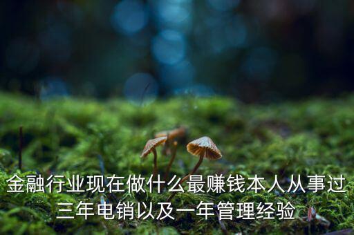 金融行業現在做什么最賺錢本人從事過三年電銷以及一年管理經驗