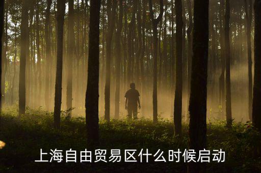 上海自貿區什么時候開放，上海自由貿易區什么時候啟動