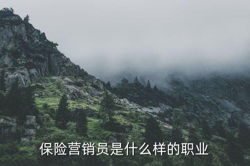 保險營銷員是什么樣的職業