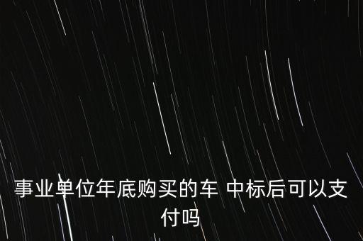 事業單位年底購買的車 中標后可以支付嗎