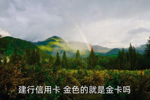 建設銀行信用卡什么卡種是金卡，我申請建設銀行的信用卡我申請的是金卡審核通過了上面寫的卡