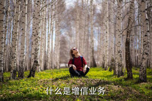 什么是增信服務，什么是增信業務